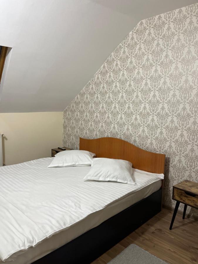 Pensiunea Diana Hotel Fagaras Bagian luar foto