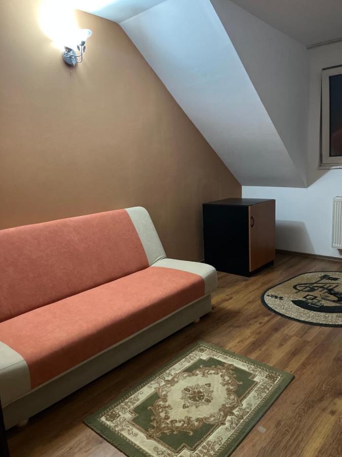 Pensiunea Diana Hotel Fagaras Bagian luar foto