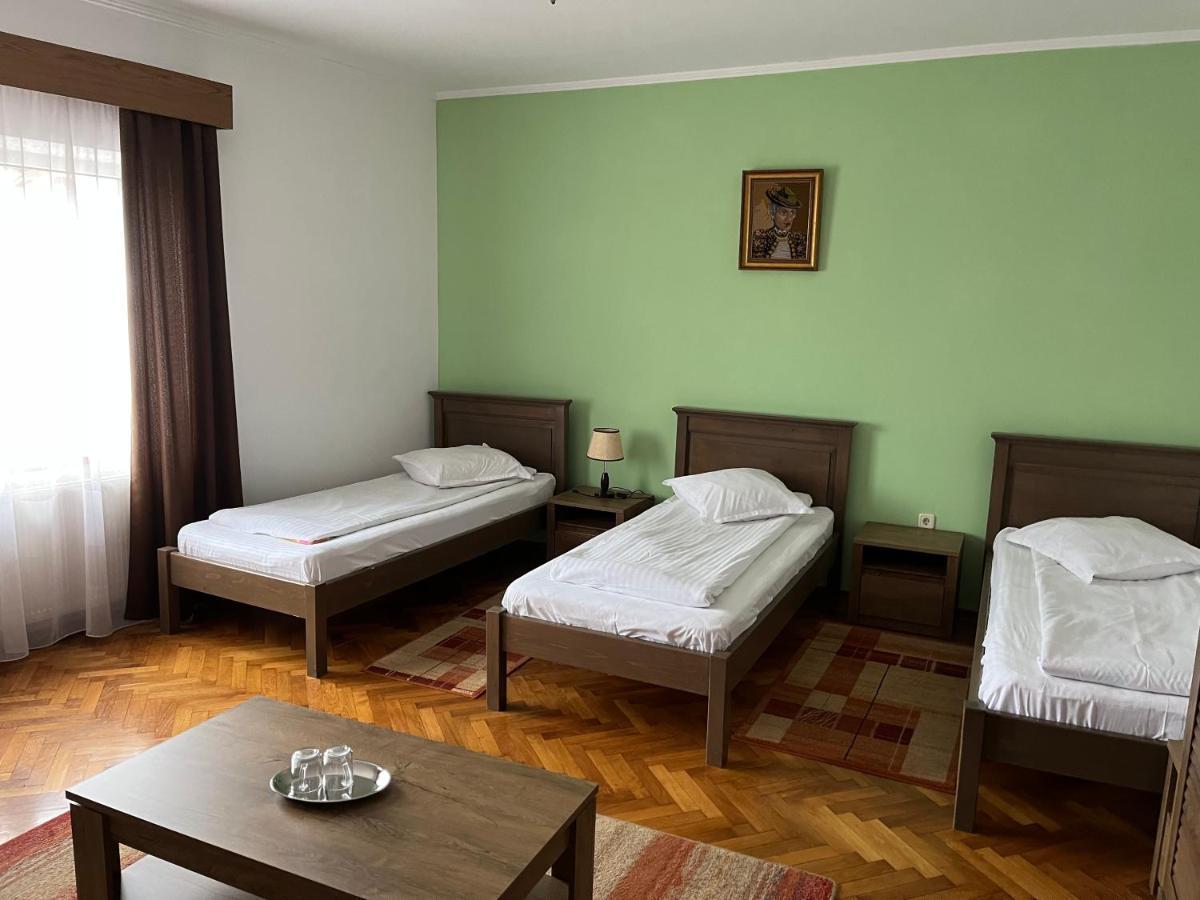 Pensiunea Diana Hotel Fagaras Bagian luar foto